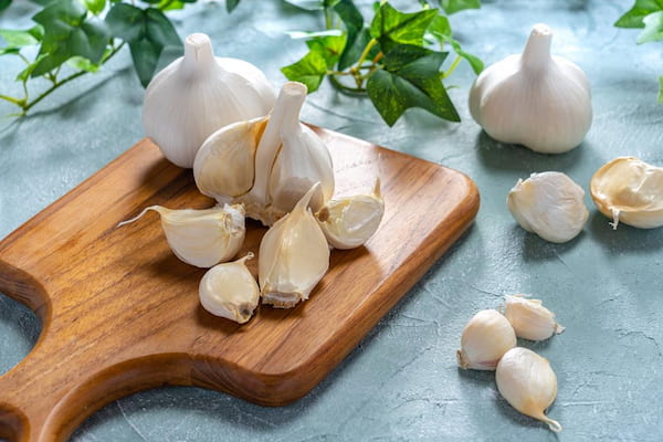 تصویر 5 از خرید و قیمت سیر سفید بی بو + فروش عمده